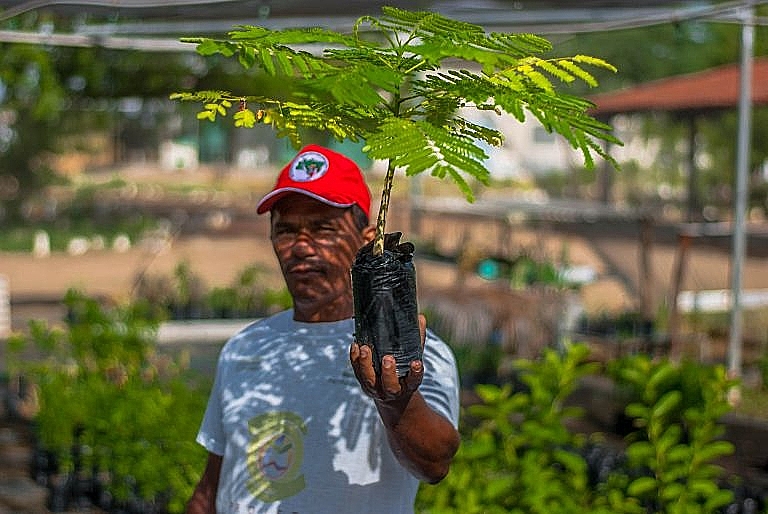 "A bandeira da reforma agrária não surge com o MST, que, diga-se de passagem, vai completar 40 anos em breve" - MST