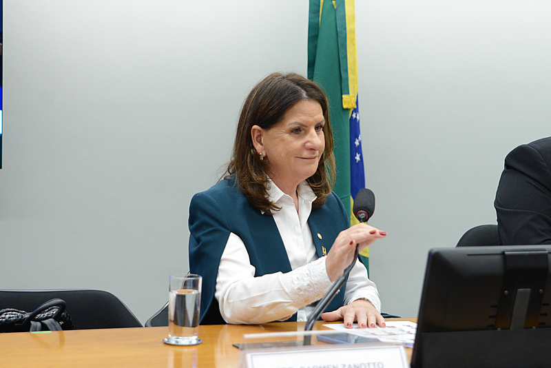 Deputada Carmen Zanotto (Cidadania-SC) é relatora da PEC 11, que agora irá a plenário - Wesley Amaral/Câmara dos Deputados