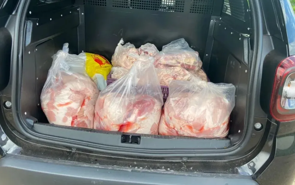 Abatedouro clandestino suspeito de vender carne de cavalo é alvo de busca e apreensão em Hidrolândia, Goiás  Foto: Divulgação/Polícia Civil