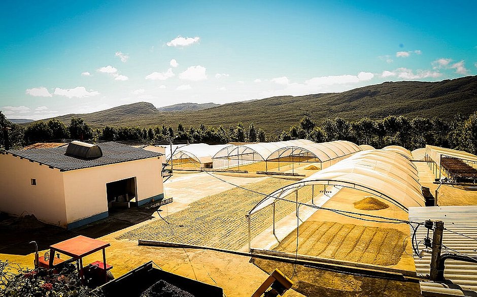 Fazenda Tijuco, em Piatã. Lá é produzido o Café Rigno, tetracampeão do Cup of Excellence, o 'oscar' dos cafés especiais (Foto: Divulgação)