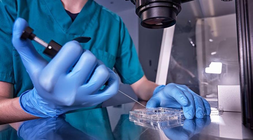Cientistas dizem ter criado primeiros modelos sintéticos de embriões humanos Foto: Antonio Marquez lanza/Getty Images