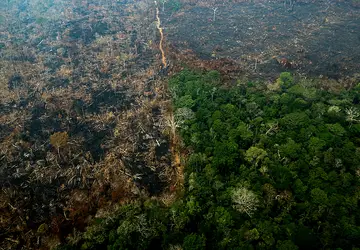 evastação ambiental no Brasil cresce há uma década 