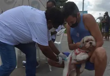 Prefeitura de Salvador inicia vacinação antirrábica para cães e gatos na segunda-feira