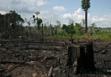 Queimada destrói parte da floresta amazônica na área do Projeto de Assentamento Moju, na região de Santarém
