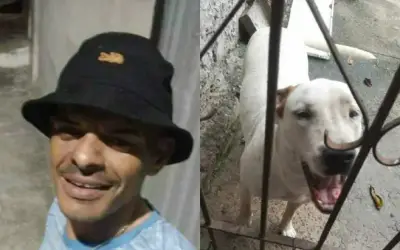 Camaçari: Eletricista morre após ser atacado por dois cachorros Pitbull